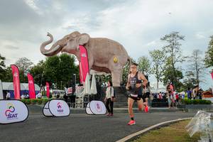 BIB: 
                            <button type="button" onclick="openModal(26528370)" class="btn btn-primary btn-sm float-right btn-popup" data-toggle="modal" data-target=".modal-high-quality">
                        <i class="fas fa-shopping-cart"></i> Add to Cart
                    </button>
                                            <button type="button" onclick="isThisMe(26528370, true)" class="btn btn-success btn-sm float-right btn-popup btn-isme hidden" data-toggle="tooltip" data-placement="bottom" title="นี่คือรูปของคุณใช่ไหม คลิกที่นี่เพื่อเอาเข้าอัลบั้ม">
                        <i class="fas fa-plus"></i> Add to album
                    </button>
                    <button type="button" onclick="isThisMe(26528370, false)" class="btn btn-warning btn-sm float-right btn-popup btn-isnotme hidden">
                        <i class="fas fa-ban"></i> Remove from album
                    </button>